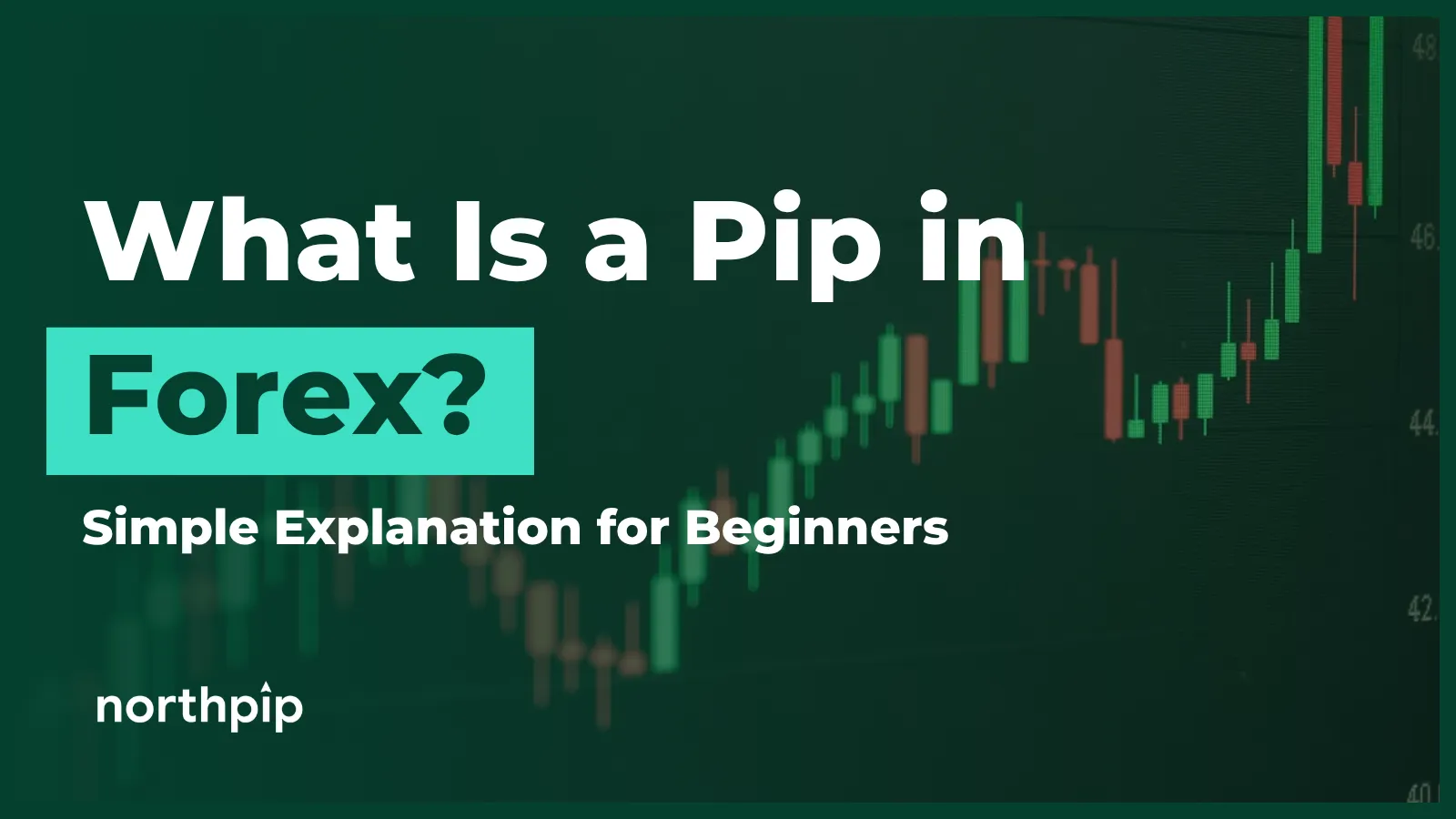 What Is a Pip in Forex? Simple Explanation for Beginners